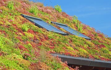 Leverington Common living roof systems